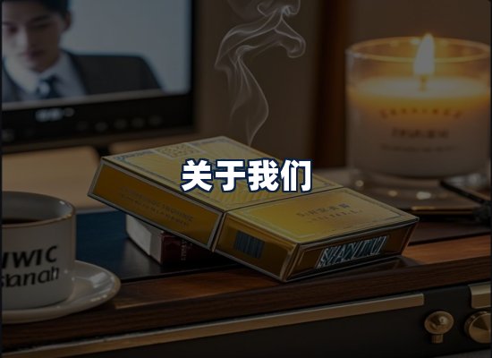 关于我们